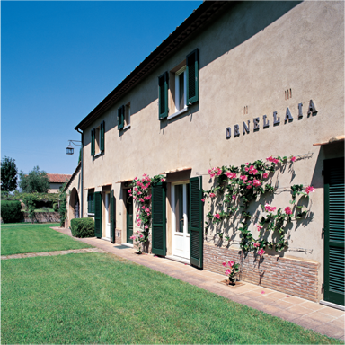 История развития